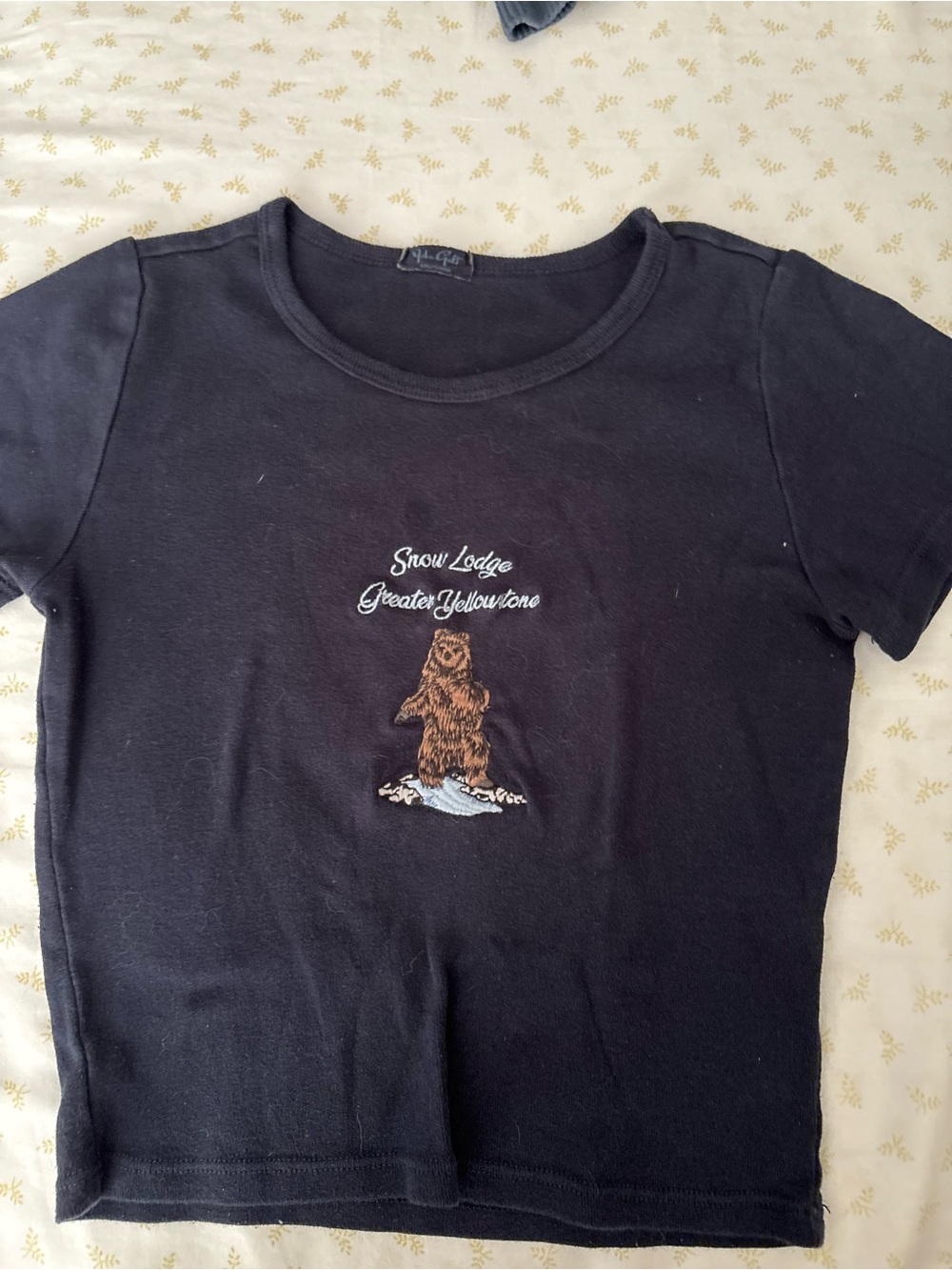 Brandy Melville Baby Tee
